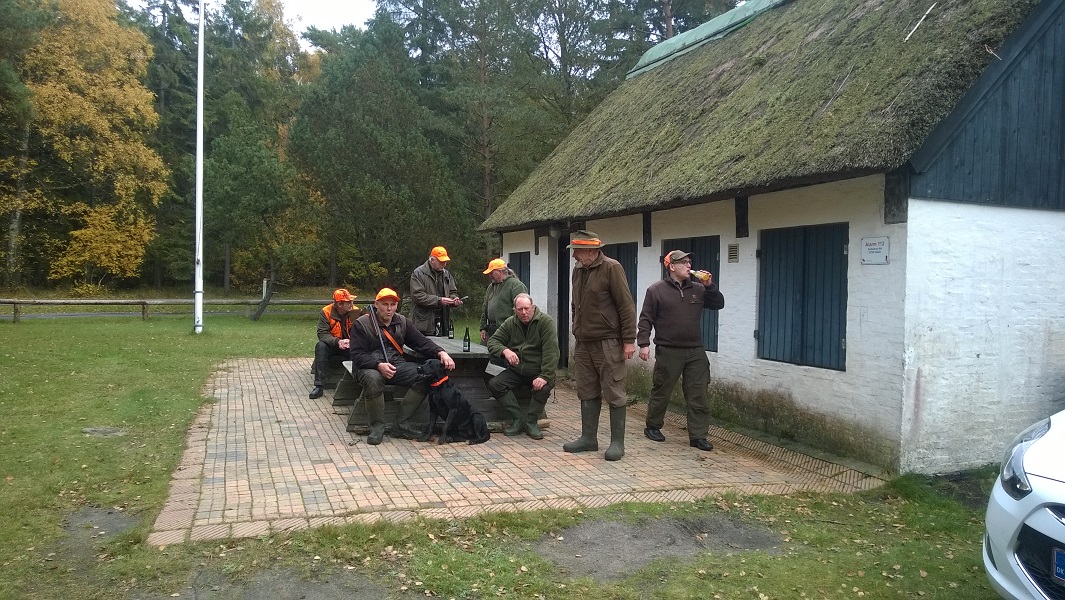 wp_20151020_001.jpg