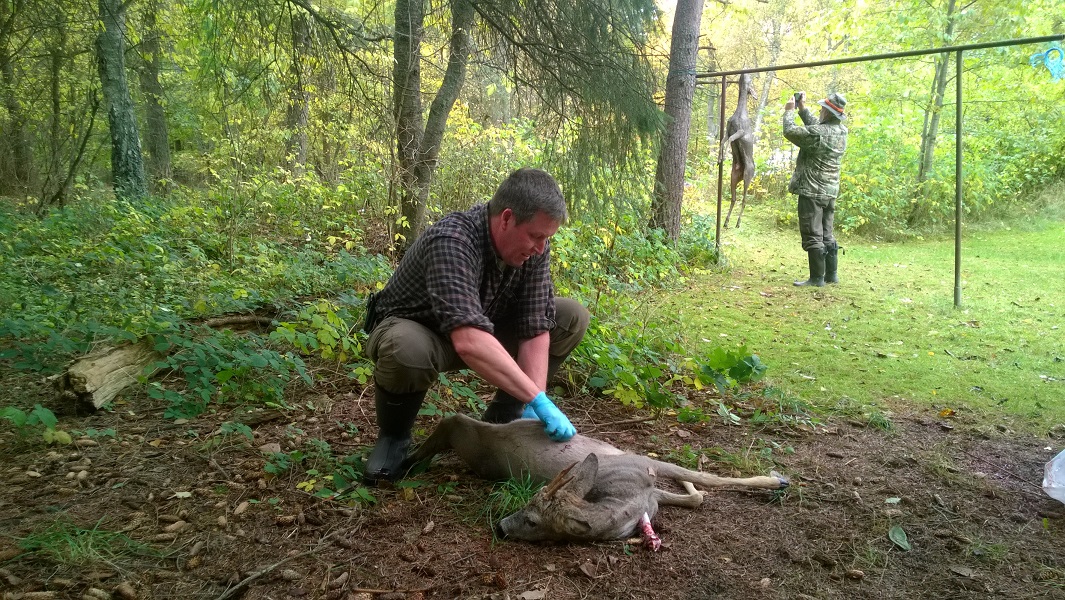 wp_20151020_004.jpg