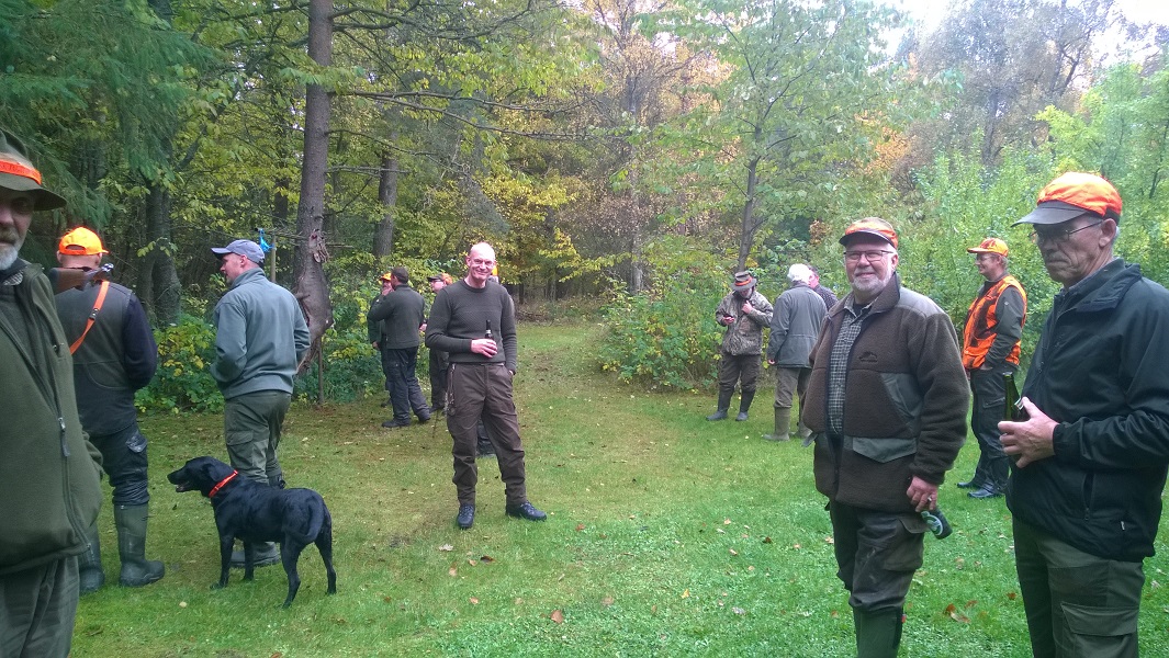wp_20151020_009.jpg