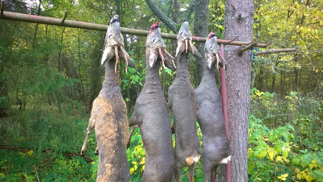 wp_20151020_011.jpg