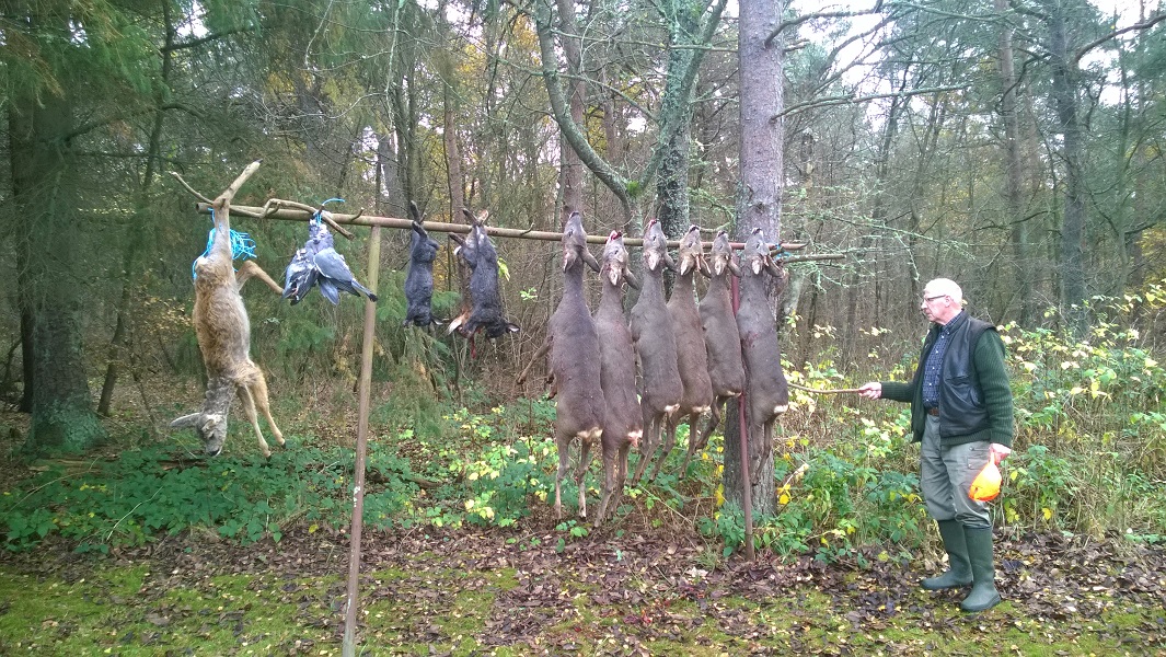 wp_20151111_004.jpg