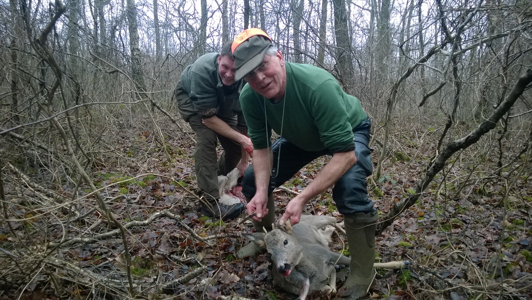 wp_20151219_004.jpg