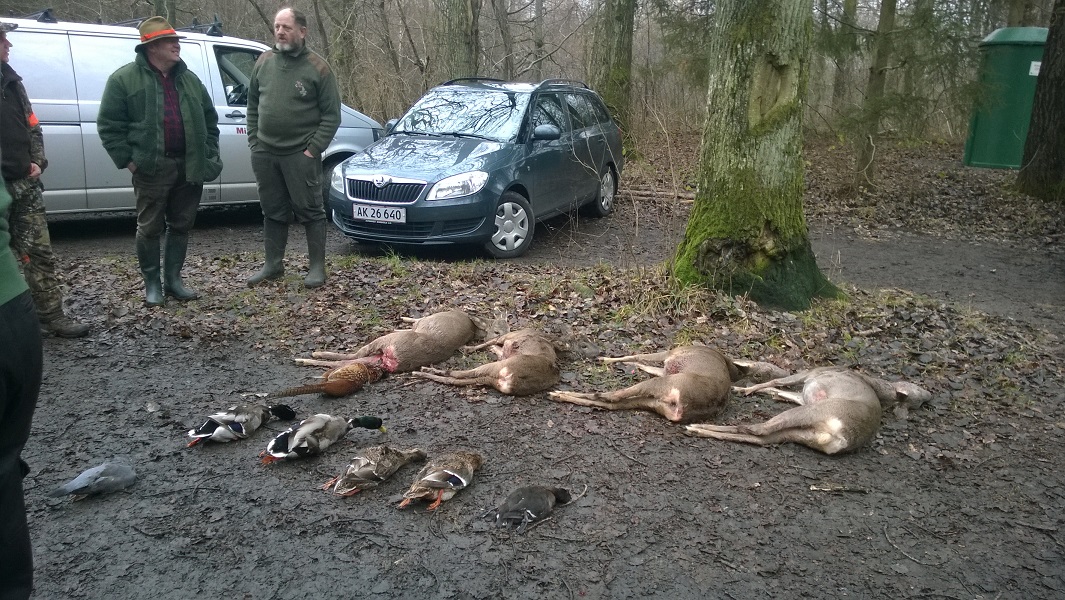 wp_20151219_005.jpg