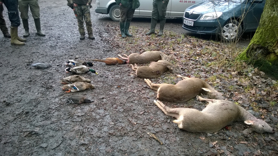 wp_20151219_008.jpg